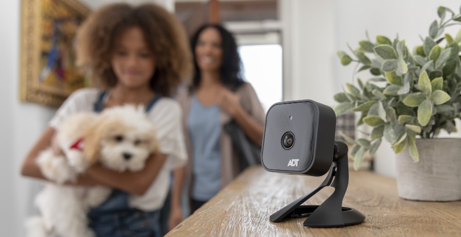 Indoor security cameras in Topeka 